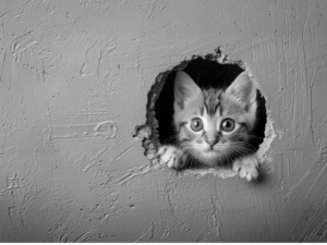 drywall damage and repair